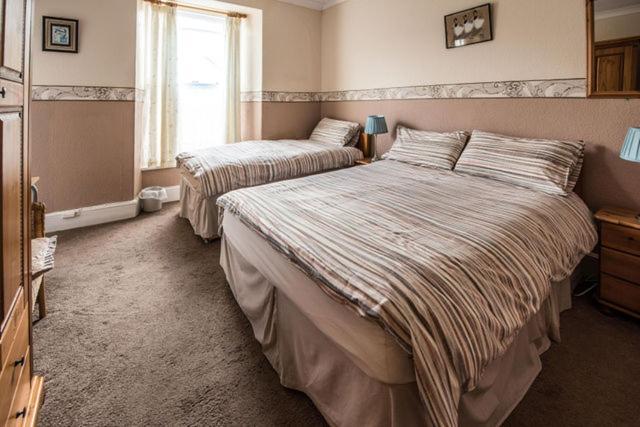 Glendower B&B St Davids Exterior foto