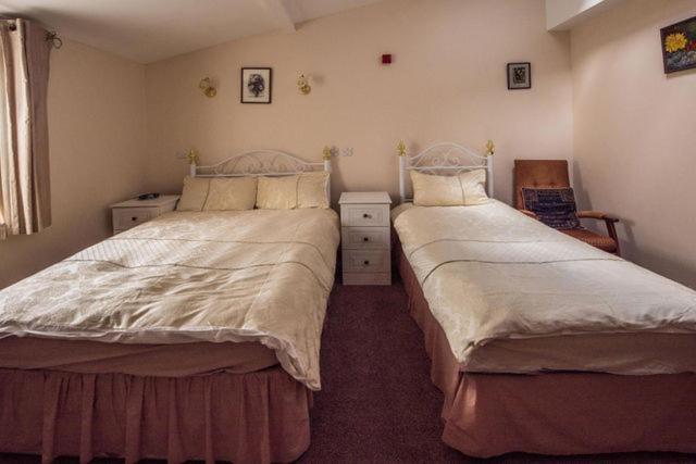 Glendower B&B St Davids Exterior foto